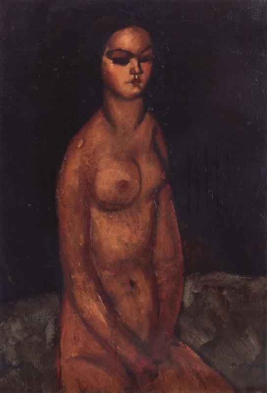 Amedeo Modigliani Nudo Seduto oil painting image